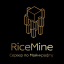 Иконка сервера RiceMine